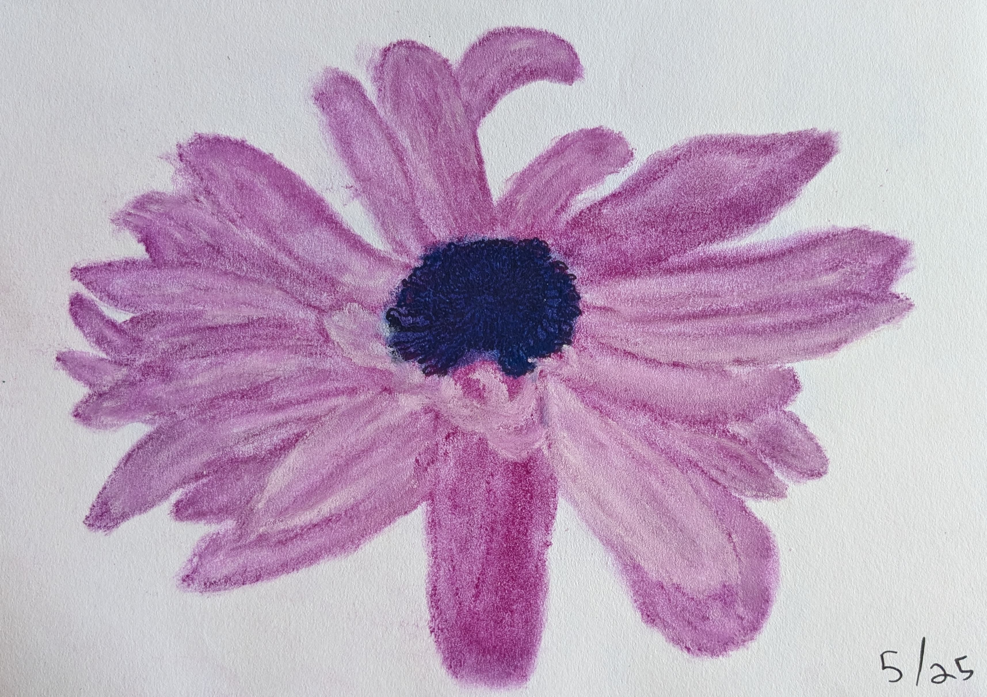 pastel on paper, purple, petaled flower